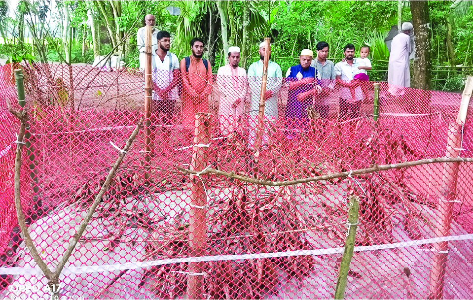 Image of মো: দুলাল সরদার